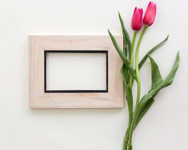 La vista superior del bastidor vacío de la foto con el tulipán rojo florece encima aislado en el fondo blanco