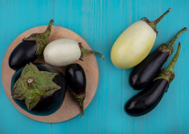 Foto gratuita vista superior berenjenas blancas y negras en un soporte sobre un fondo turquesa