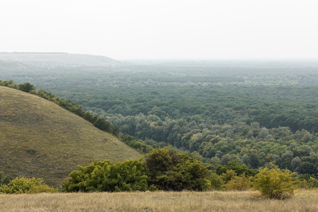 Vista superior del bosque en otoño