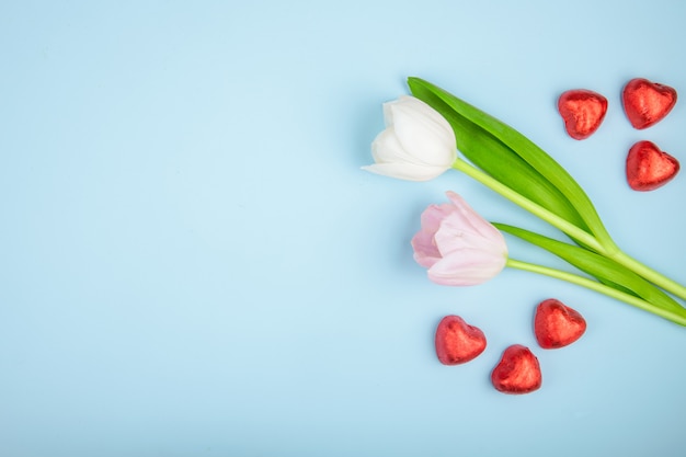 Vista superior de caramelos de chocolate en forma de corazón en papel rojo con tulipanes de color rosa en la mesa azul con espacio de copia