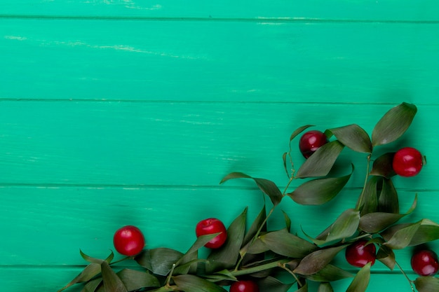 Vista superior de cerezas maduras rojas con hojas verdes en madera verde con espacio de copia