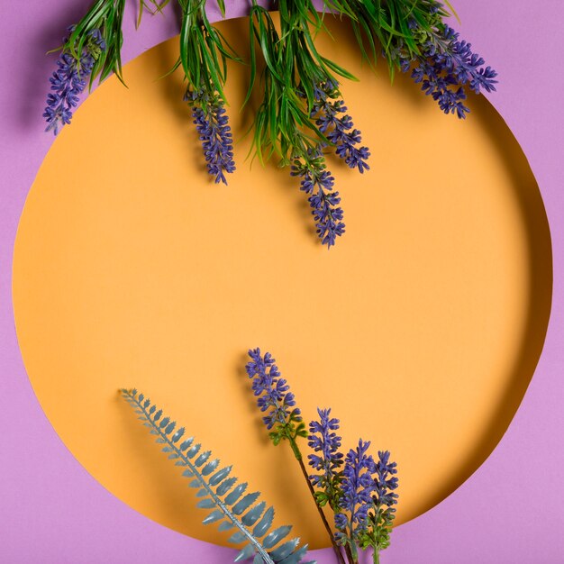 Vista superior del círculo de papel con lavanda al lado