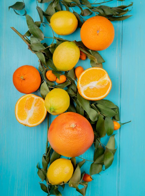 Vista superior de cítricos como mandarina naranja limón y kumquat sobre fondo azul decorado con hojas