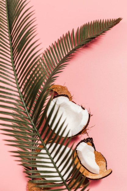 Vista superior de cocos con planta