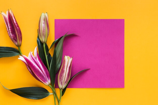 Vista superior coloridas flores de lirios reales con un trozo de papel vacío