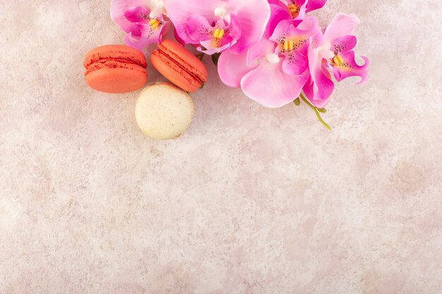 Una vista superior de coloridos macarons franceses con flores en el escritorio rosa pastel galleta color azúcar