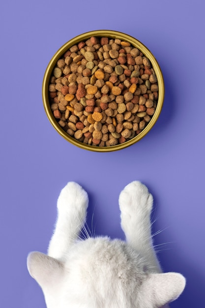 Vista superior de la comida para gatos en el color del año 2022