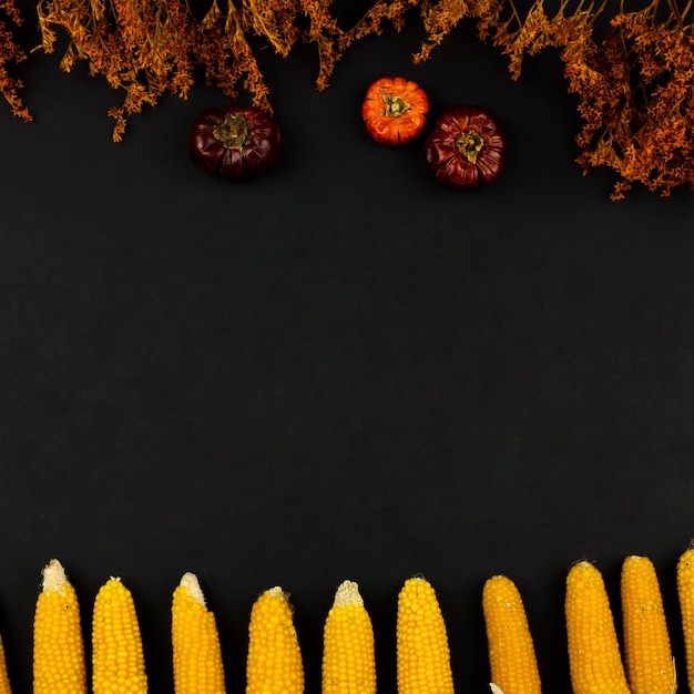 Vista superior comida de otoño con fondo negro