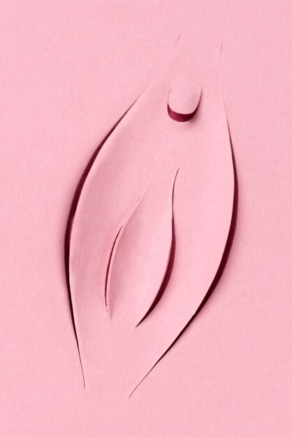 Vista superior del concepto de sistema reproductivo femenino