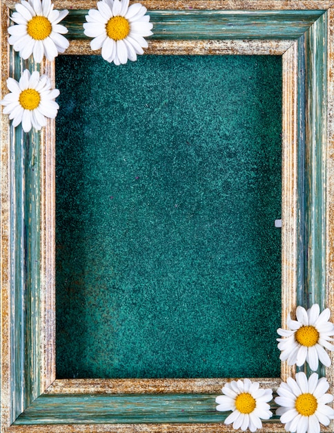 Foto gratuita vista superior copia espacio marco de oro verdoso con margaritas en verde