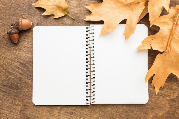 Foto gratuita vista superior del cuaderno con hojas de otoño y bellotas