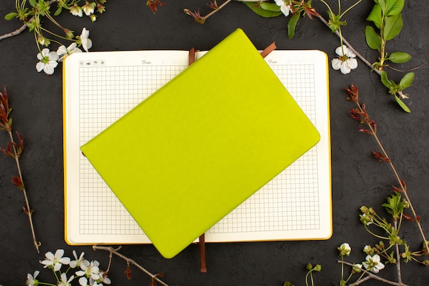 Vista superior cuaderno de pistachos alrededor de flores blancas en el piso oscuro