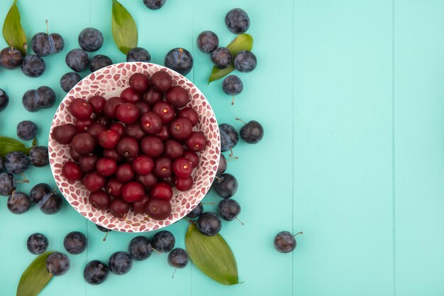 Vista superior de deliciosas cerezas rojas con endrinas azul-negras aisladas sobre un fondo azul con espacio de copia