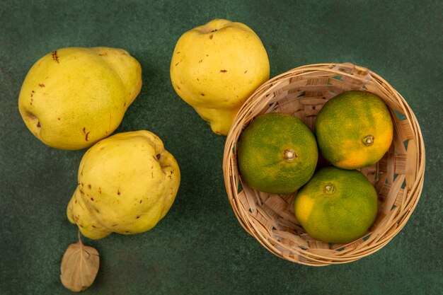 Vista superior de deliciosas mandarinas en un balde con membrillos