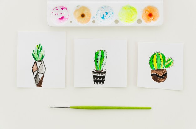 Vista superior dibujos de cactus acuarela
