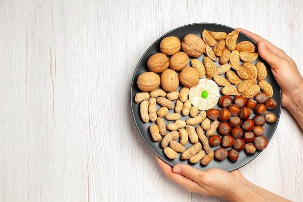 Vista superior diferente composición de frutos secos avellanas frescas nueces y cacahuetes dentro de la placa en el escritorio blanco tuerca bocadillo muchas plantas