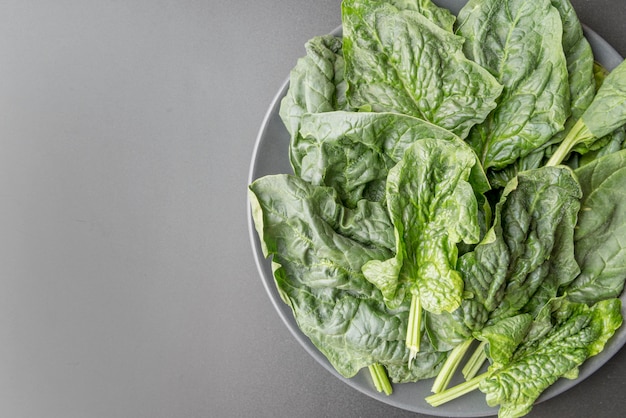 Vista superior de ensalada de lechuga orgánica con espacio de copia