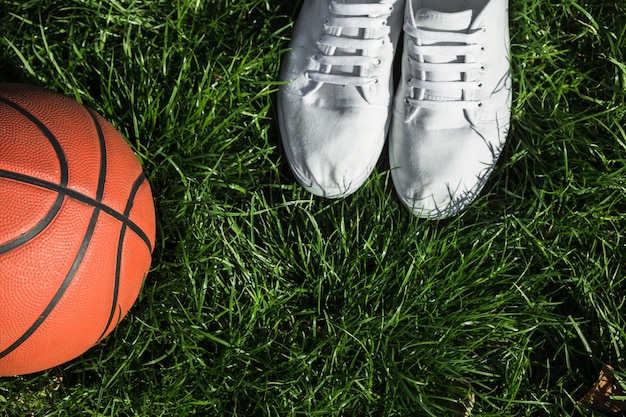 Vista superior de entrenadores junto al baloncesto