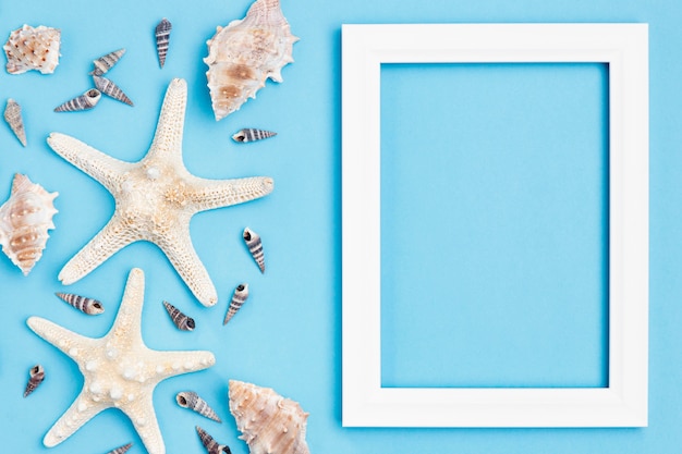 Vista superior de estrellas de mar y conchas marinas con marco