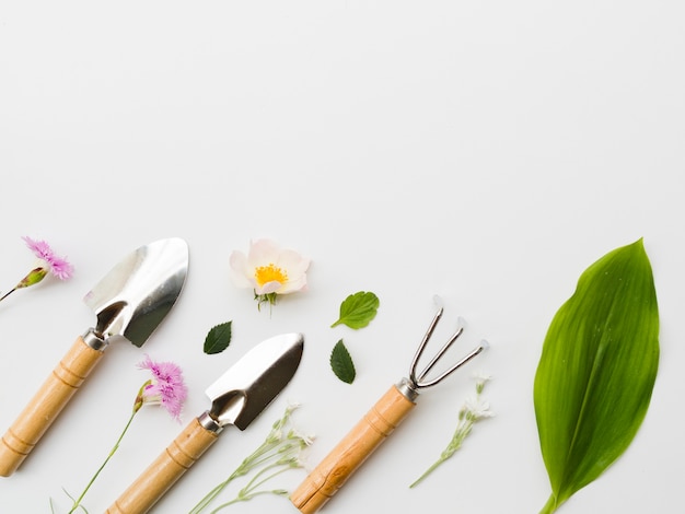 Foto gratuita vista superior fila de herramientas de jardinería con plantas