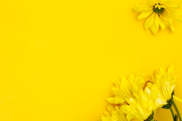 Vista superior flor amarilla con copyspace