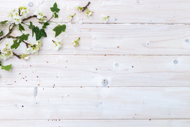 Vista superior de flores blancas de primavera y hojas sobre una mesa de madera con espacio para el texto