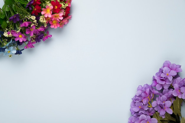 Vista superior de flores de blosoom con espacio de copia