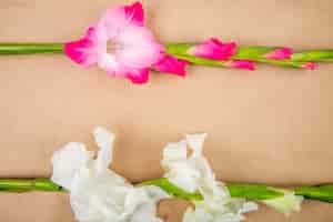 Foto gratuita vista superior de flores de gladiolo de color rosa aislado sobre fondo de textura de papel marrón
