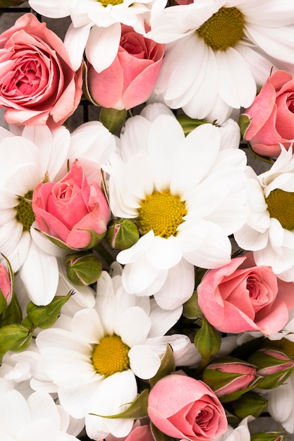 Foto gratuita vista superior de flores de hermosos colores