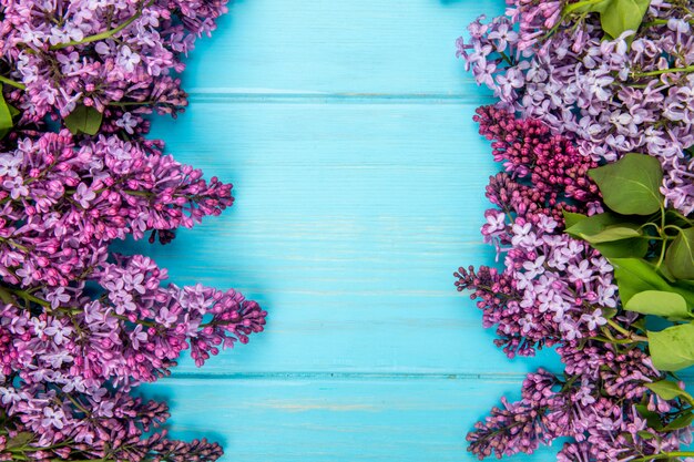 Vista superior de flores lilas aisladas sobre fondo de madera azul con espacio de copia