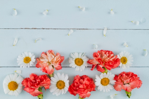 Foto gratuita vista superior flores sobre fondo de madera