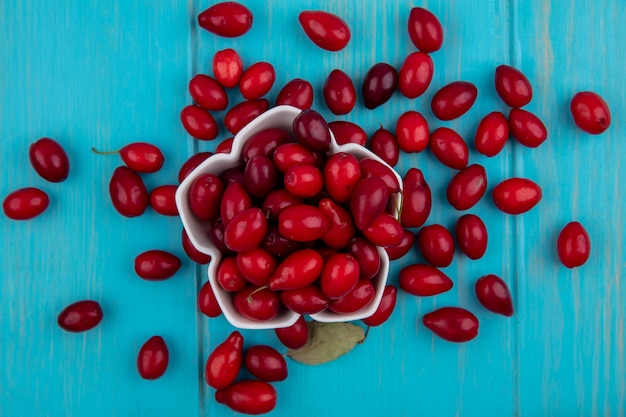 Vista superior de la fruta de cornel roja y fresca en un recipiente blanco sobre un fondo de madera azul