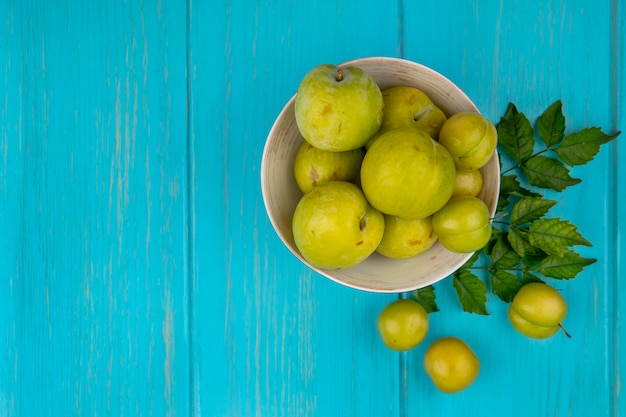 Vista superior de frutas como ciruelas y pluots verdes en un recipiente con hojas sobre fondo azul con espacio de copia