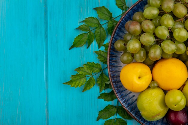 Vista superior de frutas como ciruelas y uvas pluots nectacots en placa sobre fondo azul con espacio de copia