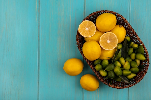 Vista superior de frutas saludables como limones y kinkans en un balde con limones aislado en una pared de madera azul con espacio de copia