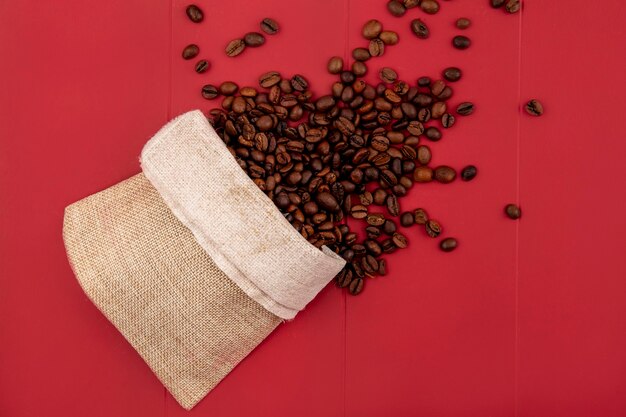 Vista superior de los granos de café tostados frescos que caen de una bolsa de arpillera sobre un fondo rojo.