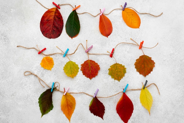 Foto gratuita vista superior de hermosas hojas de otoño en cuerdas