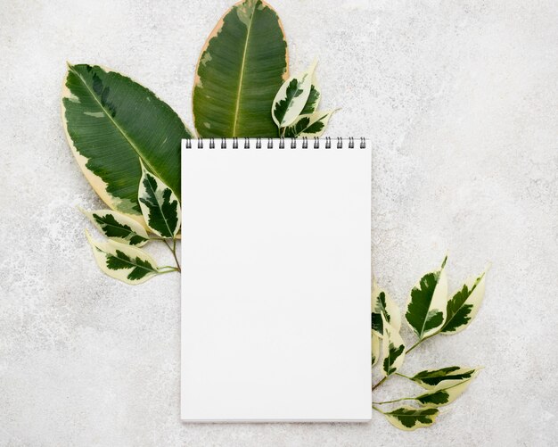 Vista superior de hermosas hojas de plantas con cuaderno