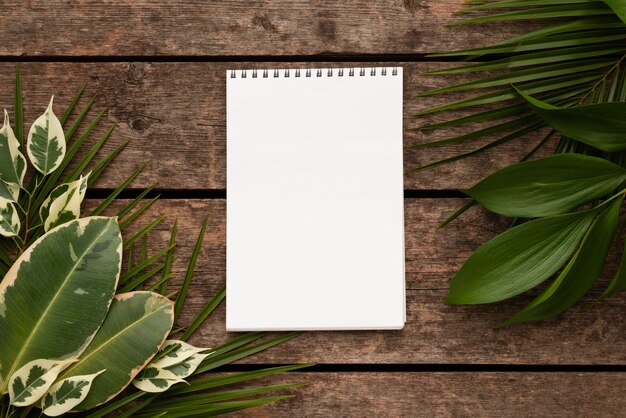 Vista superior de hermosas hojas de plantas con cuaderno