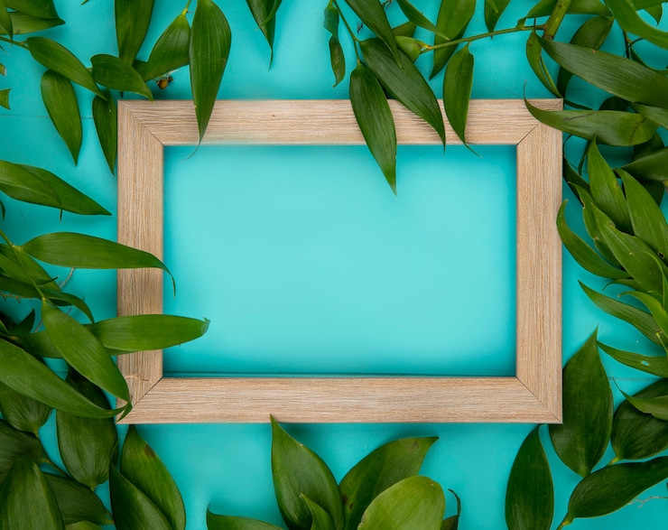 Foto gratuito vista superior de hermosas hojas verdes en azul con espacio de copia