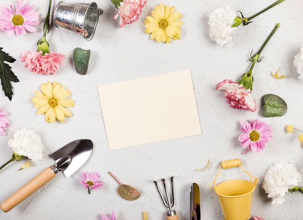 Vista superior de herramientas de jardinería y plantas con papel vacío