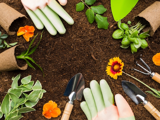 Vista superior herramientas de jardinería y plantas