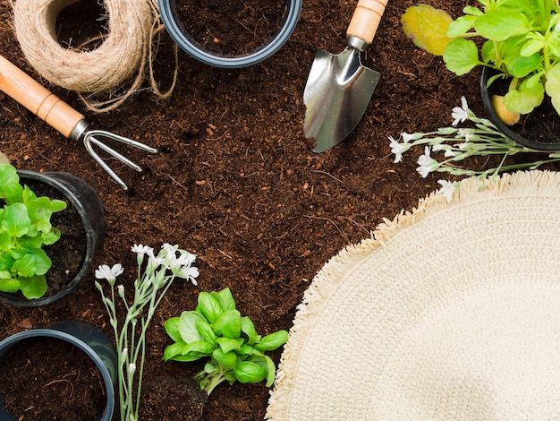 Foto gratuita vista superior herramientas de jardinería y plantas