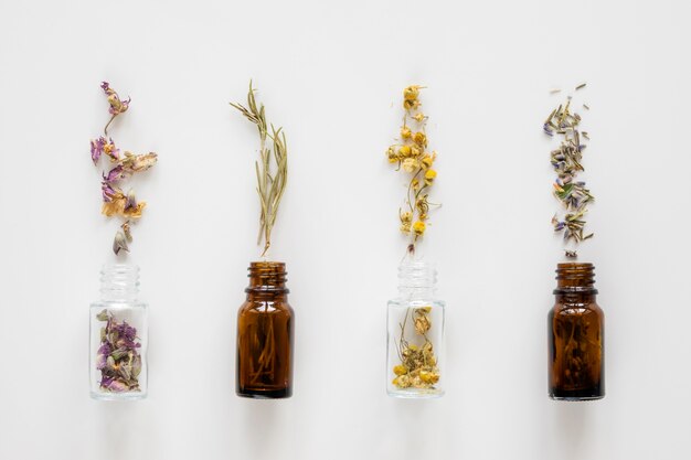 Vista superior de hierbas medicinales naturales en botellas