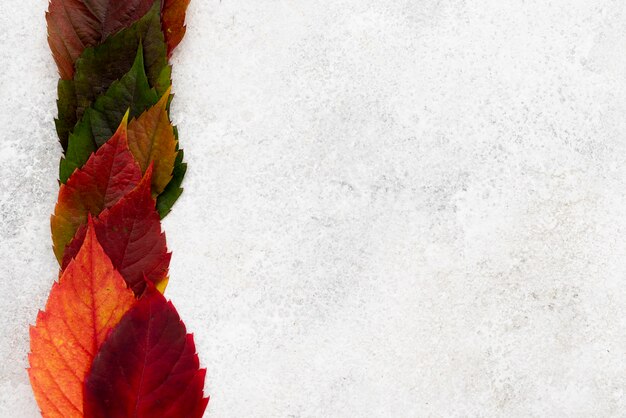 Vista superior de hojas de otoño coloreadas con espacio de copia