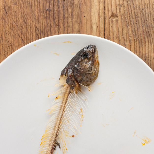 Foto gratuita vista superior de huesos de pescado en la mesa