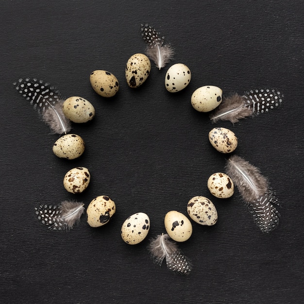 Foto gratuita vista superior de huevos de codorniz de marco circular