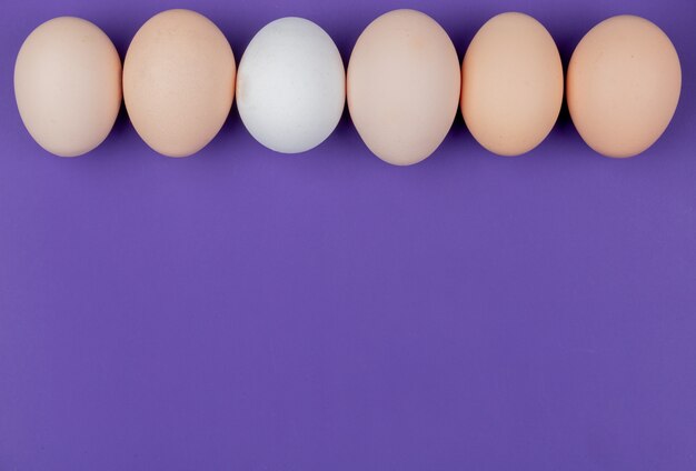 Vista superior de huevos de color blanco y crema dispuestos en una línea sobre un fondo violeta con espacio de copia