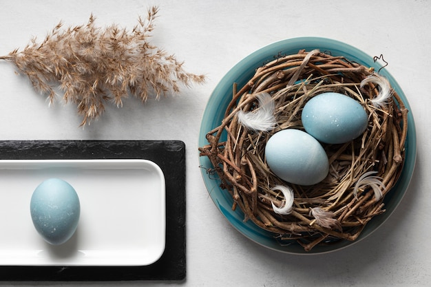 Vista superior de huevos de pascua con plato y nido de pájaro