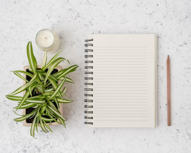 Foto gratuita vista superior libreta con plantas y velas